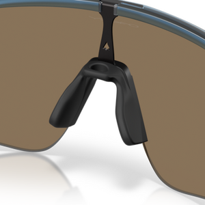 Oakley Stunt Devil, Matte Transparent Abyss w/ Prizm 24K