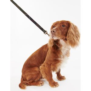 Barbour Tartan Dog Lead