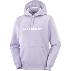 Salomon Big Logo Hoodie Mens