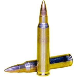 Swiss P .223 Rem DS-1 FMJ 3,6/55gr 50pcs