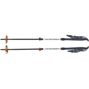 Åsnes Breidablikk Pole 2-Section V2