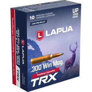 .300 Win Mag cartridges