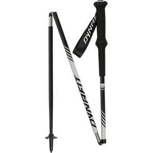 Kije do nordic walkingu