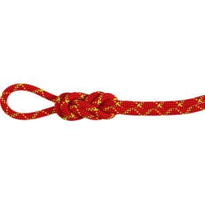 Mammut 8.0 Alpine Core Protect Dry Rope