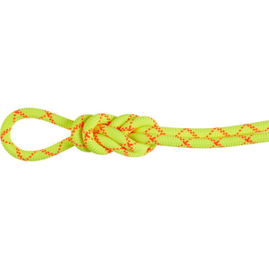 Mammut 9.5 Alpine Core Protect Dry Rope