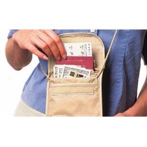 Pacsafe Pouchsafe 100