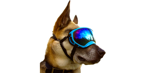 Rex Specs Dog Goggle - Neon Pink