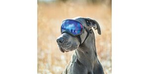 Rex Specs Dog Goggle - Neon Pink