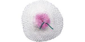 Primus Mantle (Pack of 3)
