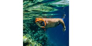 Ocean Reef Aria QR+
