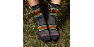 Darn Tough Willoughby Micro Crew Lightweight with Cushion Mens