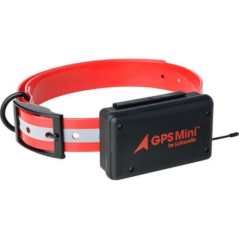 GPS-трекеры для собак