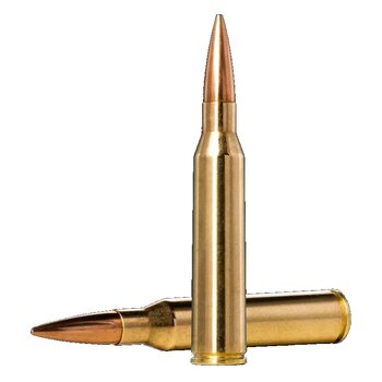 .338 Lapua Magnum