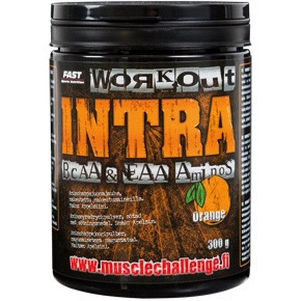 FAST Workout Intra 300g