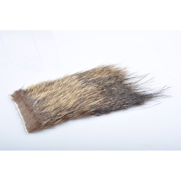 Silvergrey Nutria Rämemajava