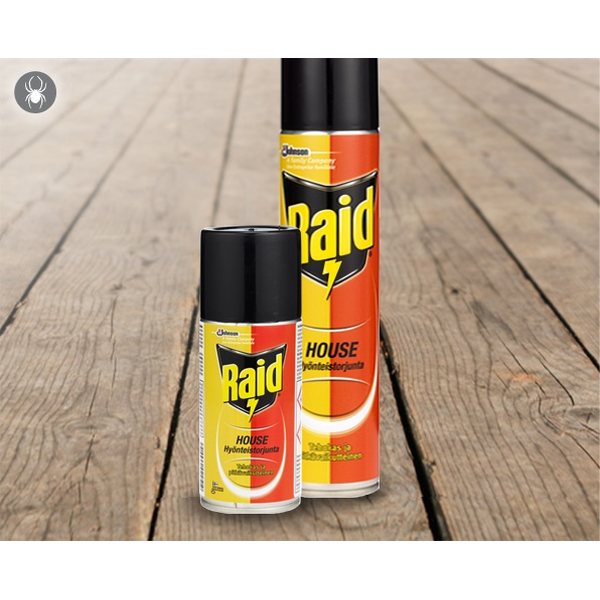 Raid House & Garden -aerosol, 300 ml