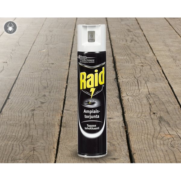 Raid Ampiaistorjunta 300ml