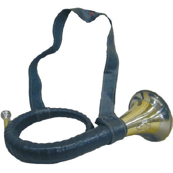 Horn with Leather