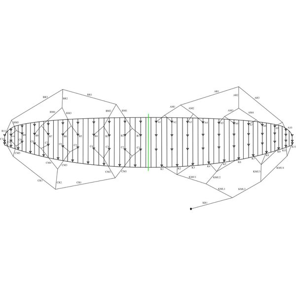 Ozone Summit 2013 10m² Bridle Line Set