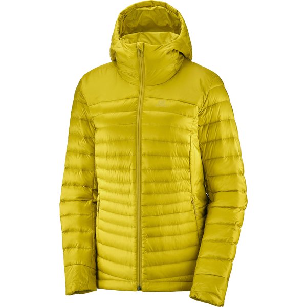 Salomon Haloes Down Hoodie W