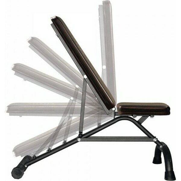 Iron Gym Dumbbell Bench