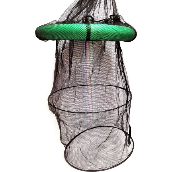 Dida Eco-Sumppu kellukkeilla 100 cm