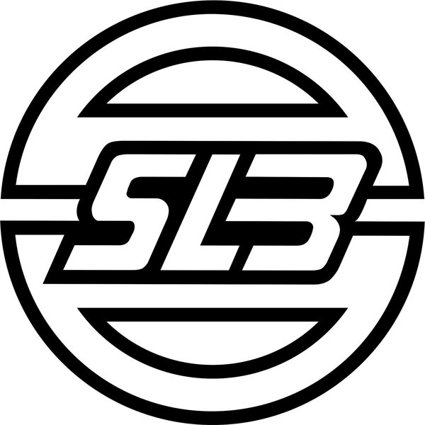 SLB-Custom Screw SS with allen