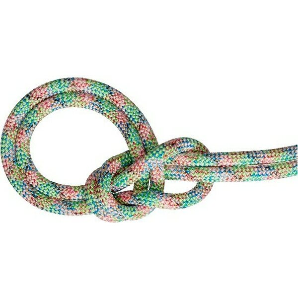 Mammut 9.5 Crag We Care Dry Rope