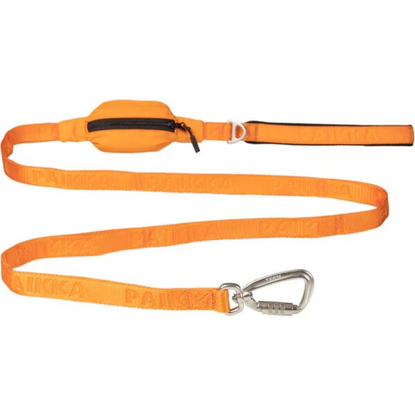 Paikka Visibility Leash for Dogs