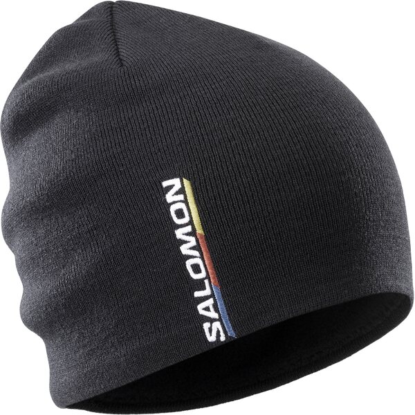 Salomon Graphic Beanie