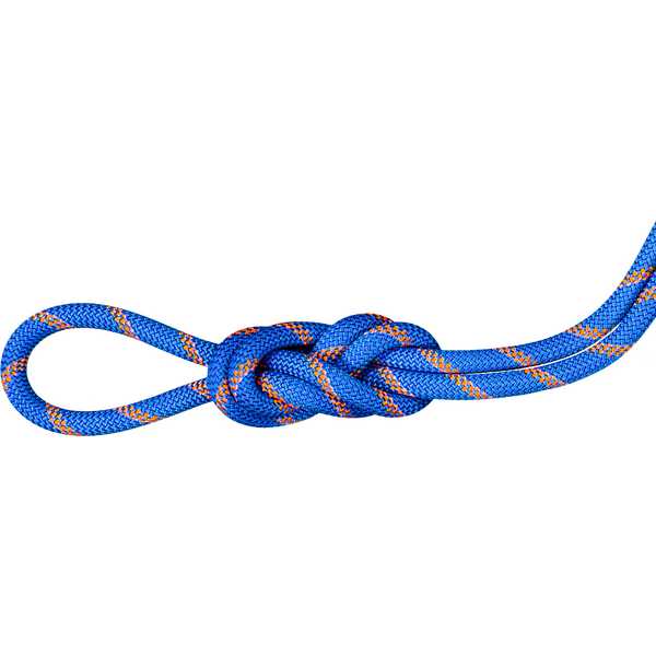 Mammut 9.0 Alpine Sender Dry Standard Rope