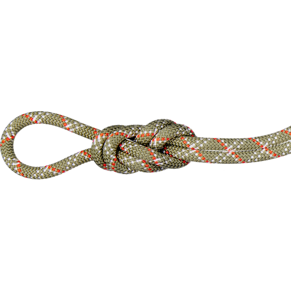 Mammut 9.5 Gym Classic Rope