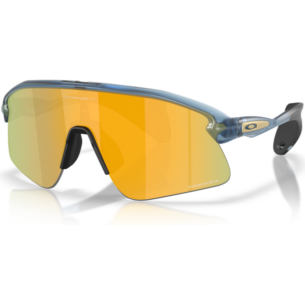 Oakley Stunt Devil, Matte Transparent Abyss w/ Prizm 24K