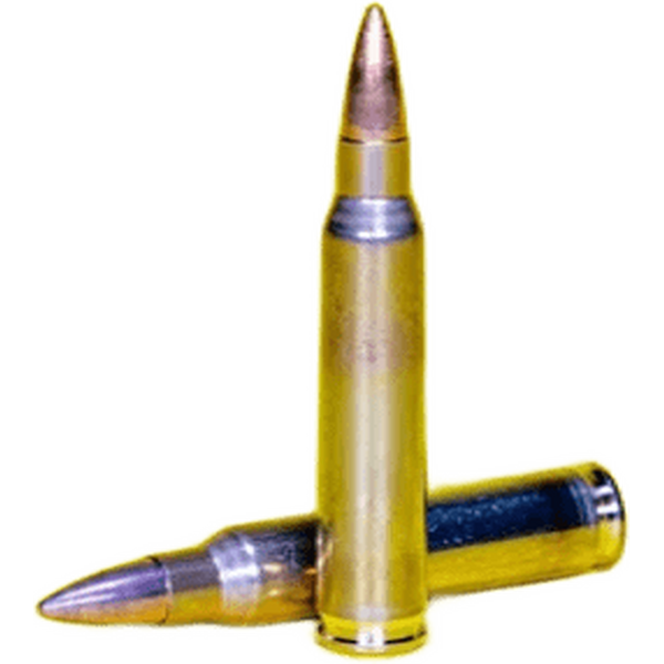 Swiss P .223 Rem DS-1 FMJ 3,6/55gr 50pcs