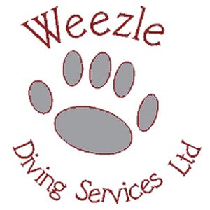 Weezle