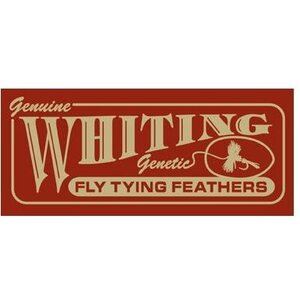 Whiting
