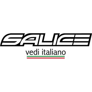 Salice