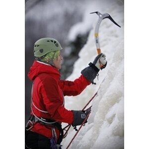 Courses, trip & guiding services