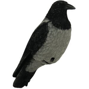 Vrany