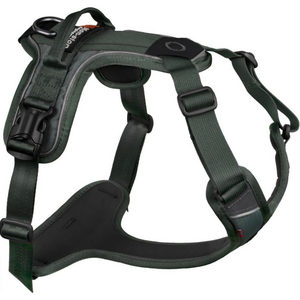 Dog Harnesses