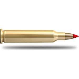 .17 Hornet muniţie
