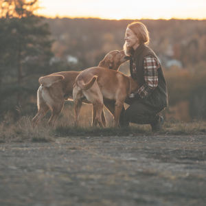 Спорт с кучета