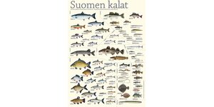 Affiches